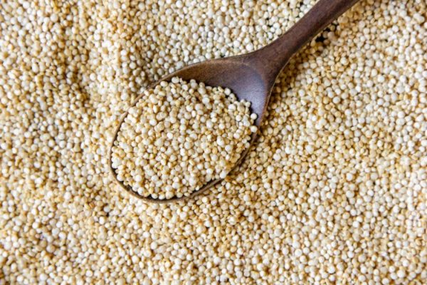 poppy seed